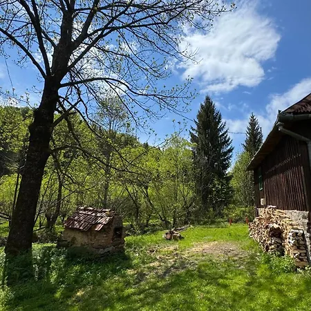 Casuta Din Vale Villa Rasca  Exterior photo